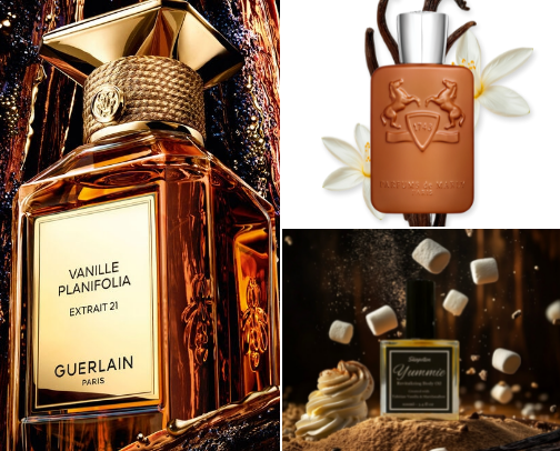 The Scent Diary cover photo collage