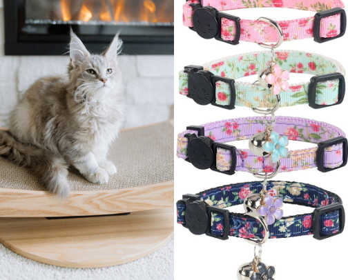 Kitty essentials cover photo collage