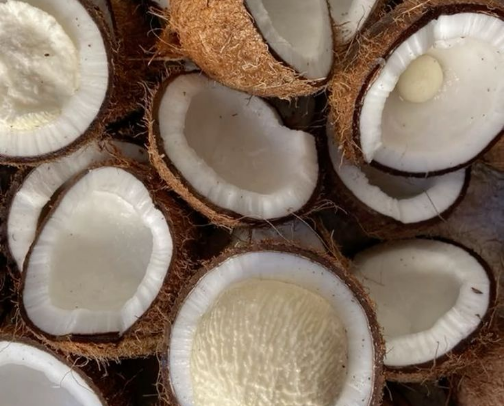 'You smell like coconut!' cover photo collage