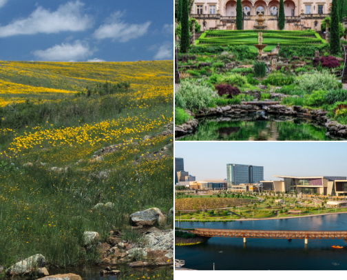 Things to do in Oklahoma!! (🚨Don’t say you’re bored if you haven’t done anything on this list!) cover photo collage