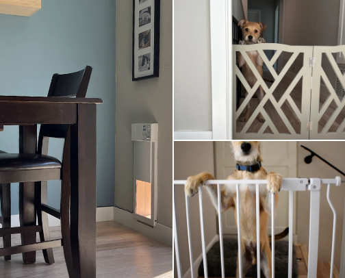 Must-haves for a cat and dog household cover photo collage