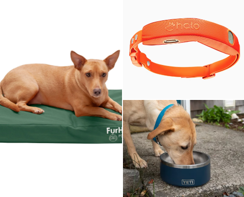 Must have animal lover needs! cover photo collage
