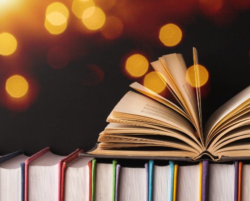 Book Lover’s Picks 2025 cover photo collage