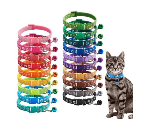 🐾 Pet Essentials for Cats & Dogs cover photo collage