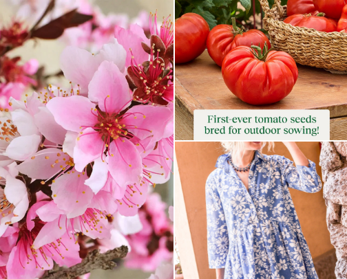 Back yard Gardening for your Organic Garden cover photo collage