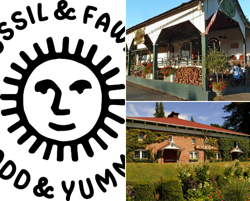 wine 101: for the girls cover photo collage