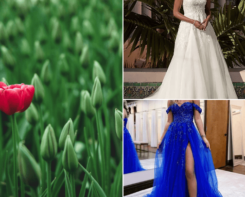 Dresses cover photo collage