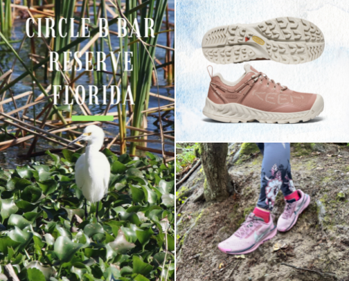 Best Nature Trails for Mental Health cover photo collage