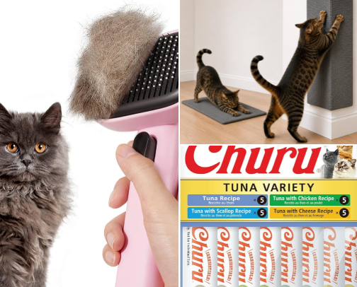 Cat household must haves 🐈 cover photo collage