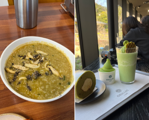 Jeju’s Must Visit Restaurants, No Gatekeeping cover photo collage