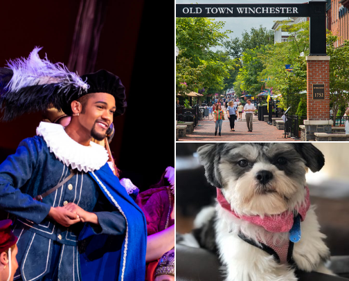 Things To Do: Winchester, Virginia cover photo collage