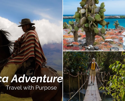 A trip to remember cover photo collage