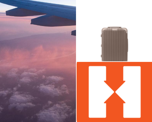 The Travel bug bit cover photo collage