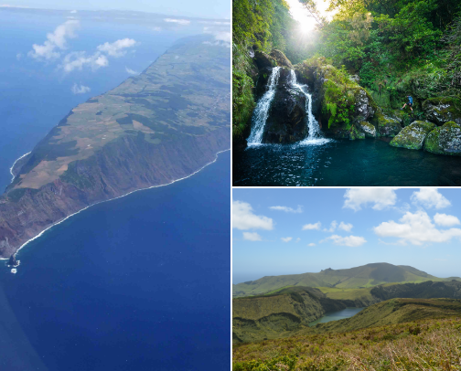 The Quiet Places cover photo collage