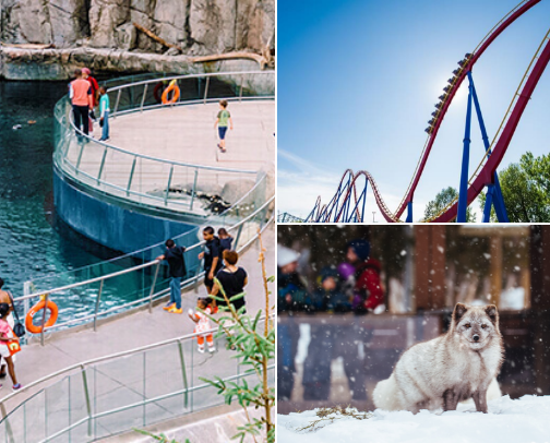 Enjoying Montreal with kids : A no-tourist-trap guide to fun, easy, and genuinely memorable spots. cover photo collage