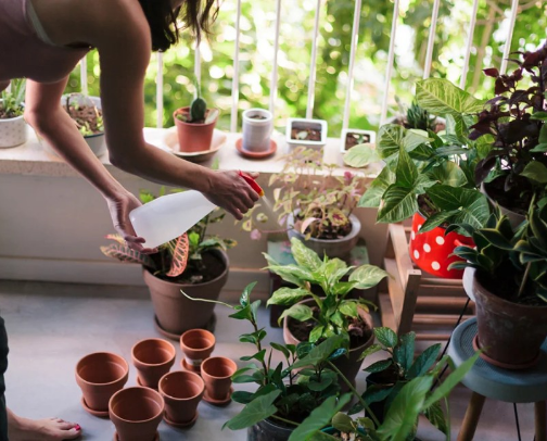 The Intentional Home: A Guide to Slow Living & Daily Wellness cover photo collage