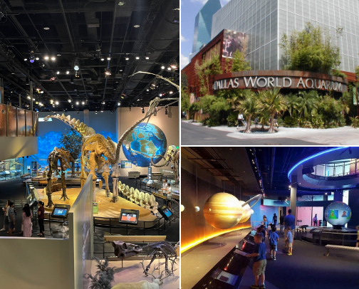 Big City, Big Fun: Kid-Friendly Activities You Can't Miss cover photo collage