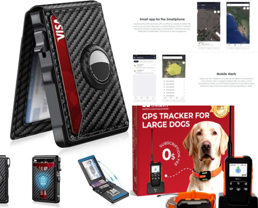 Safety Gear That Made Me Stop Panicking Every Time My Dog Was Outside cover photo collage