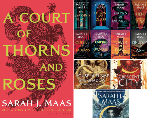 Book Recs 📚 cover photo collage