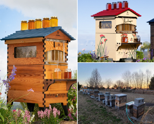 Beekeeping for Beginners: Everything You Need to Start Your First Hive cover photo collage