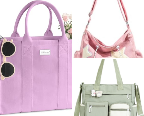 Beauty on a Budget: Bags Edition cover photo collage