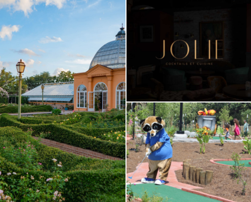 Let’s explore: NOLA edition cover photo collage