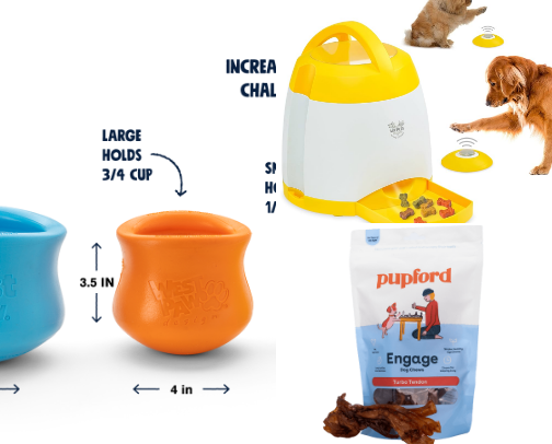 Limited Spoons Mental Health Day Dog Enrichment Ideas cover photo collage