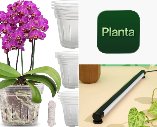Plant Parent Necessities 🪴📋 cover photo collage