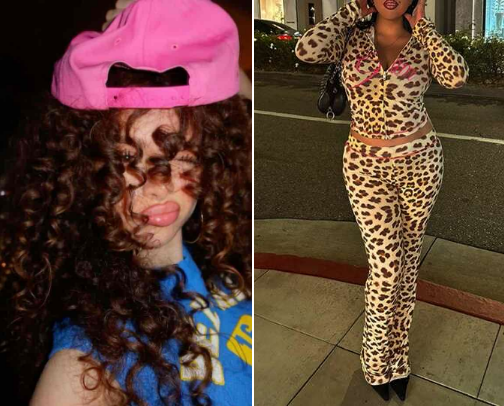 demitra cover photo collage