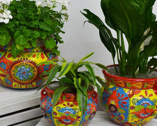 Artisan Bloom: Colorful Ceramic Flower Pots cover photo collage