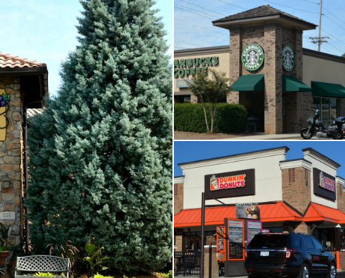 Treat Yourself: Places that give you freebies for your Birthday! 🎉 cover photo collage