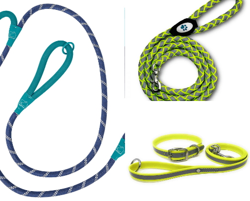 The Dog Leashes We've Tried cover photo collage