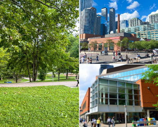 Free things to do in Toronto cover photo collage