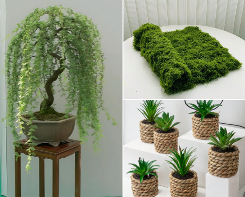 Green room 🌱 cover photo collage