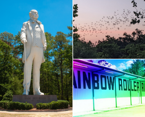 Favorite Places Near Conroe Tx cover photo collage