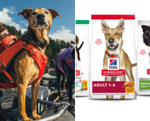 Spoil Your Pet Right: Must-Have Brands Every Fur Parent Trusts 🐾 cover photo collage