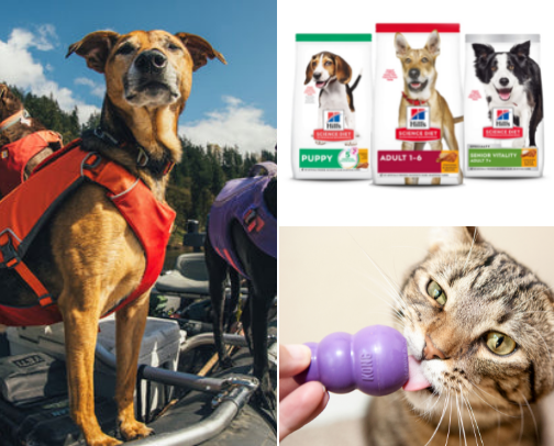 Spoil Your Pet Right: Must-Have Brands Every Fur Parent Trusts 🐾 cover photo collage