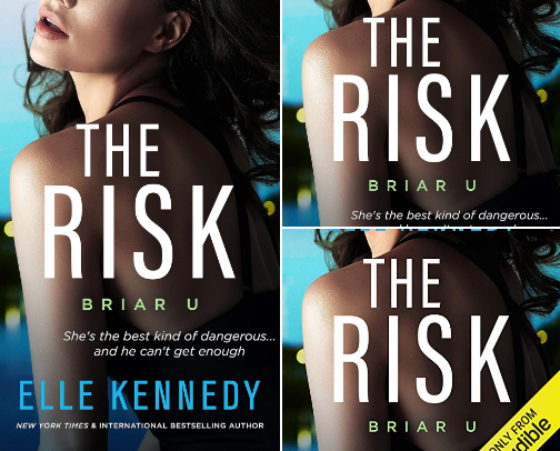 PDF Free - The Risk (Briar U Book 2) and Related College Hockey Romances cover photo collage