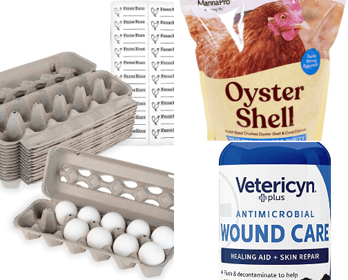 All Things Chickens cover photo collage