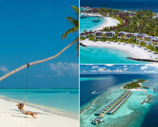 My local Tipps for Travelling in the Maldives cover photo collage
