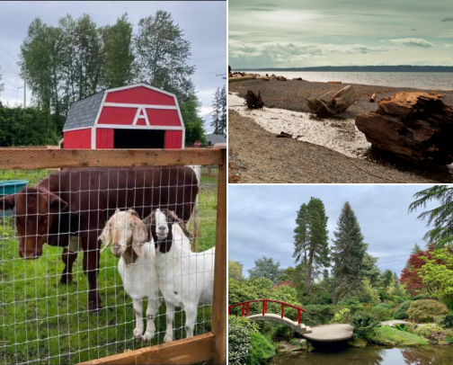 Kid-Tested Seattle Favorites cover photo collage