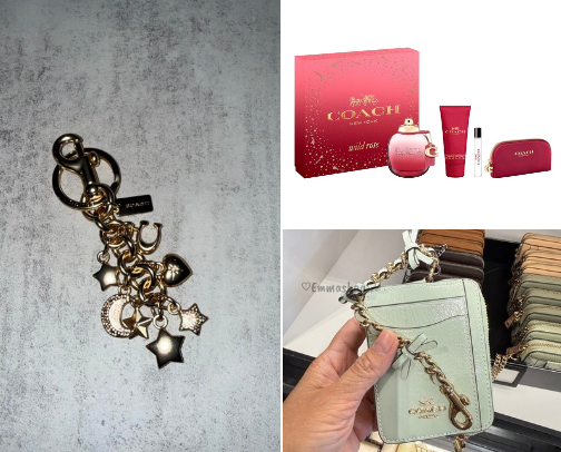 Coach is my favorite brand on purses, shoes and accessories cover photo collage