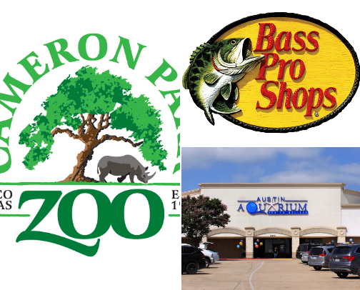 what to do with kids- north austin cover photo collage