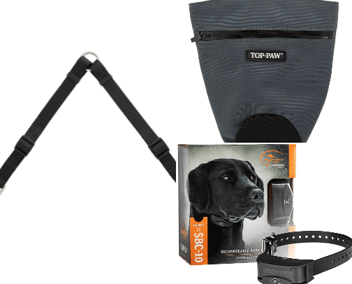 Dog Training cover photo collage