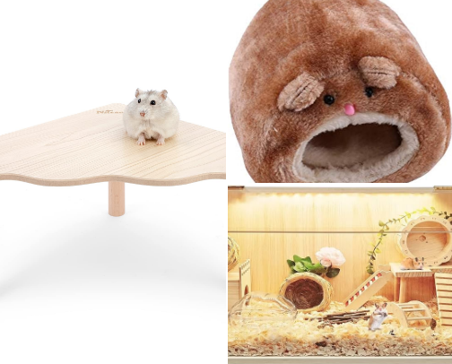 Starter Hamster Homes cover photo collage