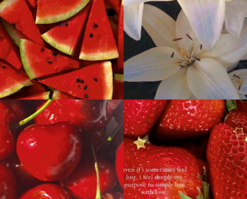 The Ultimate 'How to Smell Like' Library: Viral 2026 Scents cover photo collage