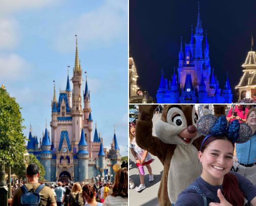 Disney Favs!! cover photo collage