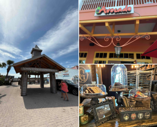 Florida Fun cover photo collage