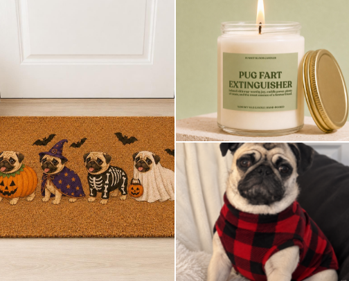 Pug Life Essentials: Cozy Beds, Cute Décor & Cleanup Must-Haves 🐾 cover photo collage