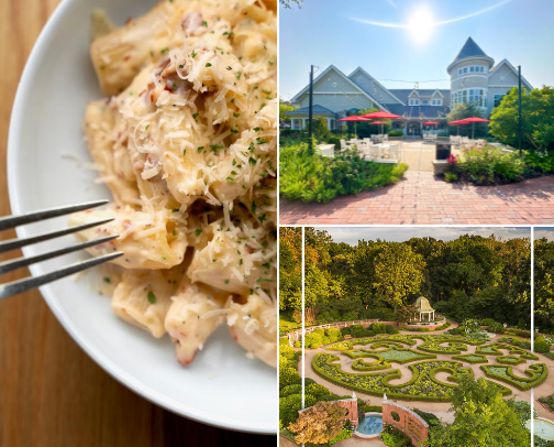 Saint Louis favs cover photo collage